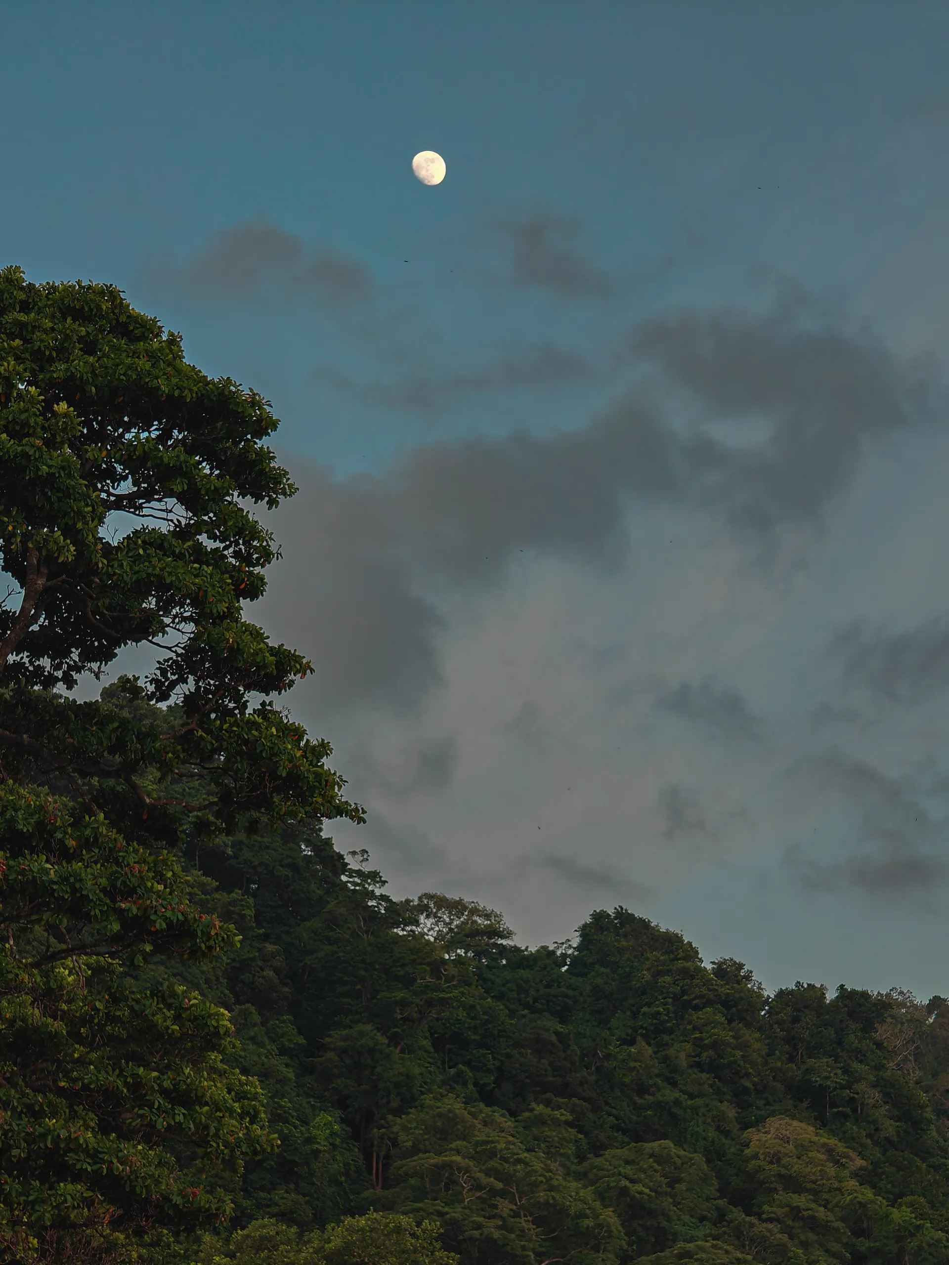 IMG20240915171005 (1)